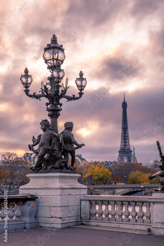 Paris  France - November 24  2019  Eiffel tower viewed from Alexandre III bridge in Paris