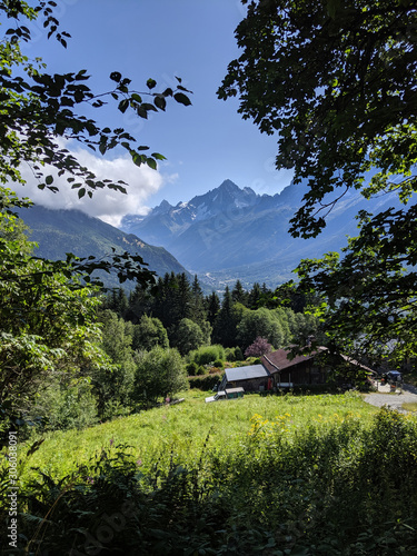 A beautiful view of Alpine mountains seen through trees and a cottage down the hill