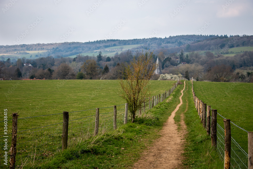 Country path in field