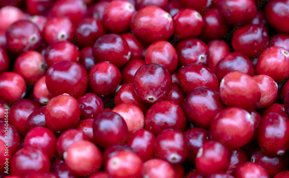 Wild cranberry from peatbogs, sour berry. Wild cranberry from peatbogs, sour berry.