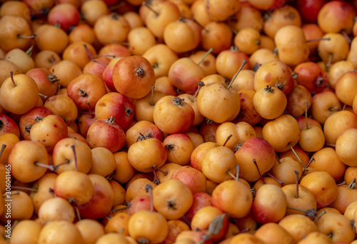 yellow little apple for kitchen and decoration.