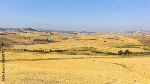 Summer rural landscape of Sicily