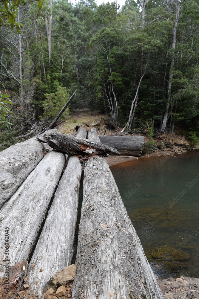 Fototapeta premium wooden bridge in the forest