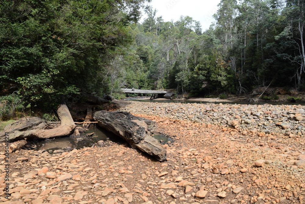 Obraz premium Bridge In The Forest