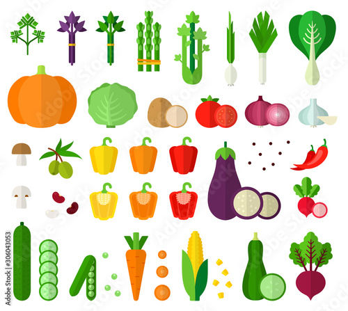 Set of Vegetarian Products flat vector illustration.