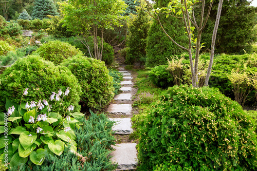 Canvas Print stone footpath in a garden with landscaping with bushes and a flowers
