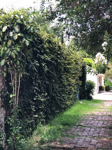 path in garden