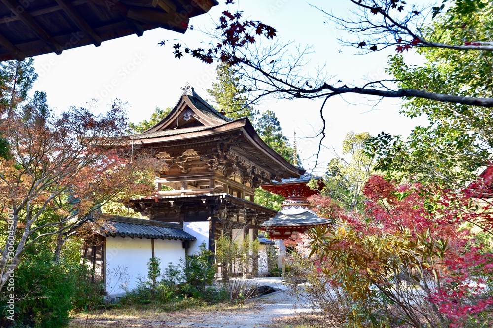 temple in kyoto japan temple in kyoto japan