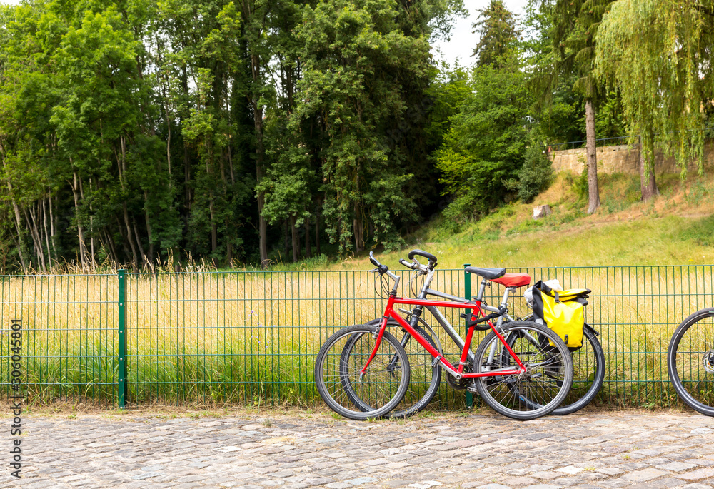 Fototapeta premium Bicycles for tourists in summer park, Europe
