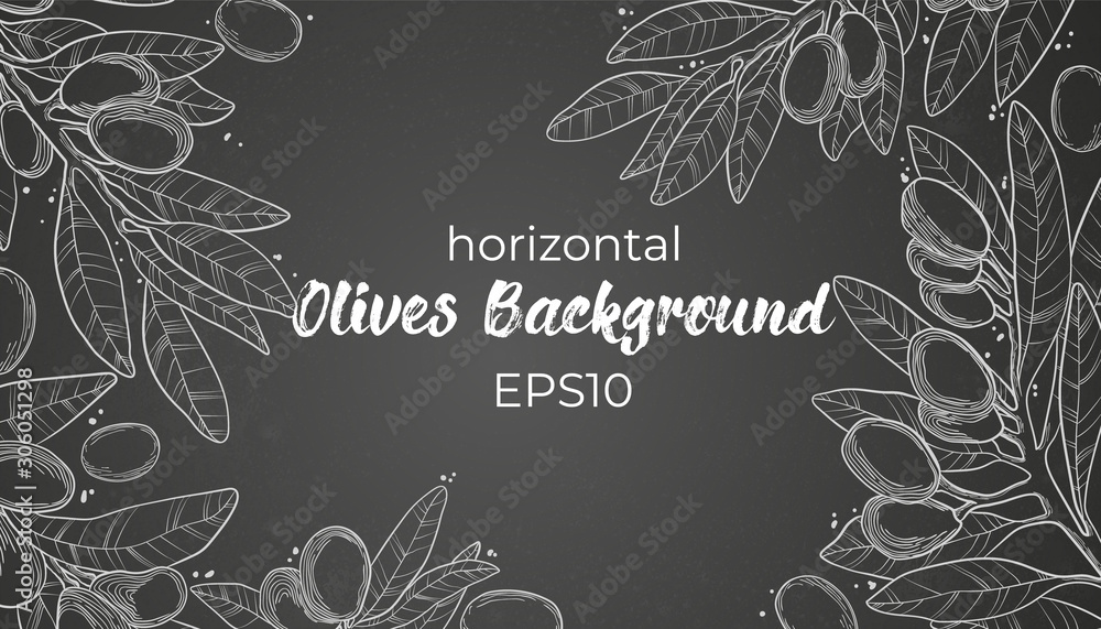 Vector horizontal hand drawn banner template with line art olive branch ...