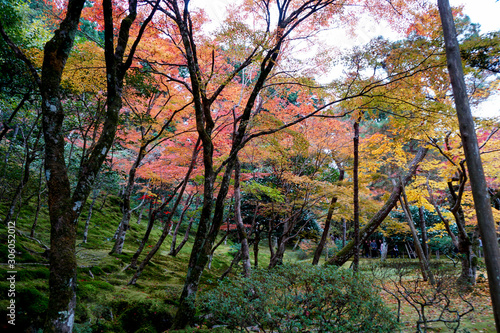             Ginkakuji Temple