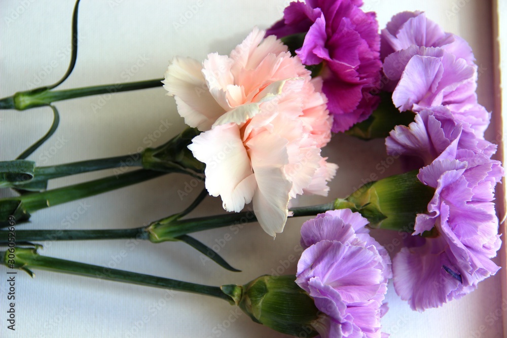 bouquet of flowers. Carnation