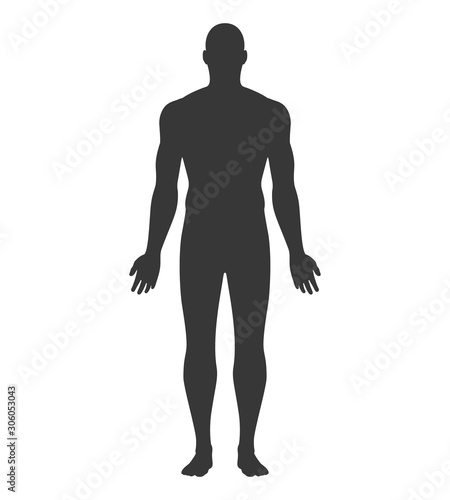 Anatomical Position Anterior View Male Body Vector Silhouette.