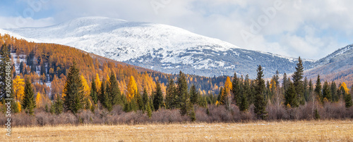 Panoramic autumn view, sunny day. Nature of Siberia, wild place. Mountain taiga, snow-capped peaks.
