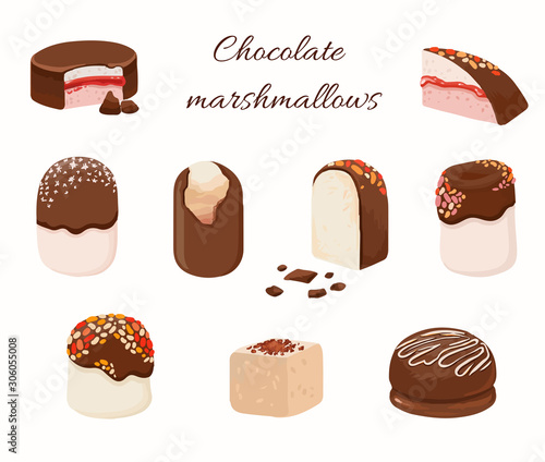 Vector chocolate coated marshmallowand cakes in cartoon style isolated. Candy set,  illustration. Winter yummy icons. Snack with colored strew