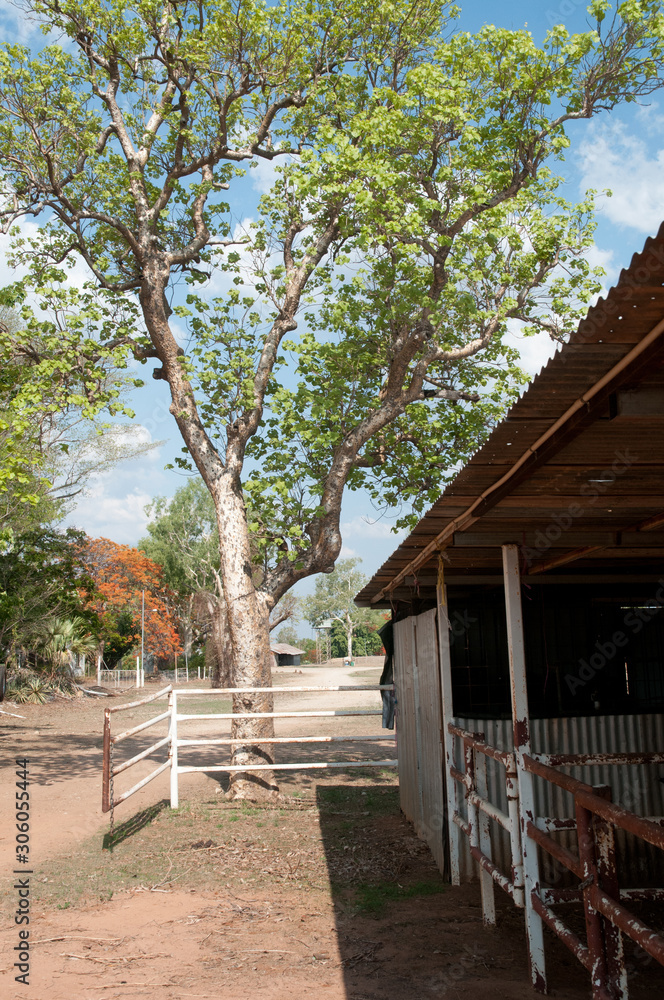 Cattle station sheds - Northern Territory Australia Cattle station sheds - Northern Territory Australia
