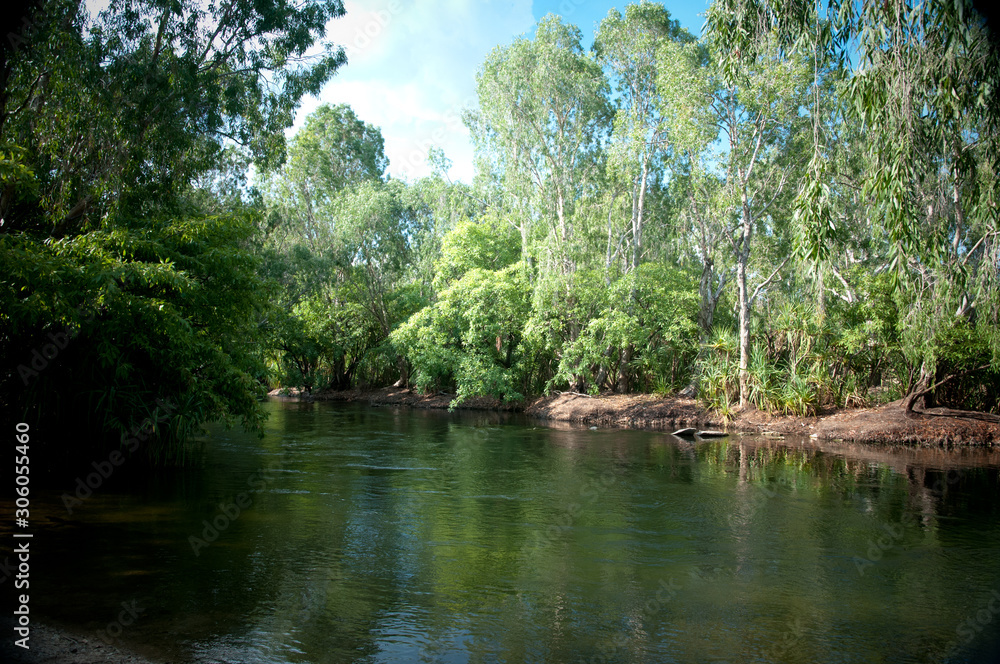Obraz premium Mataranka river Northern Territory Australia 