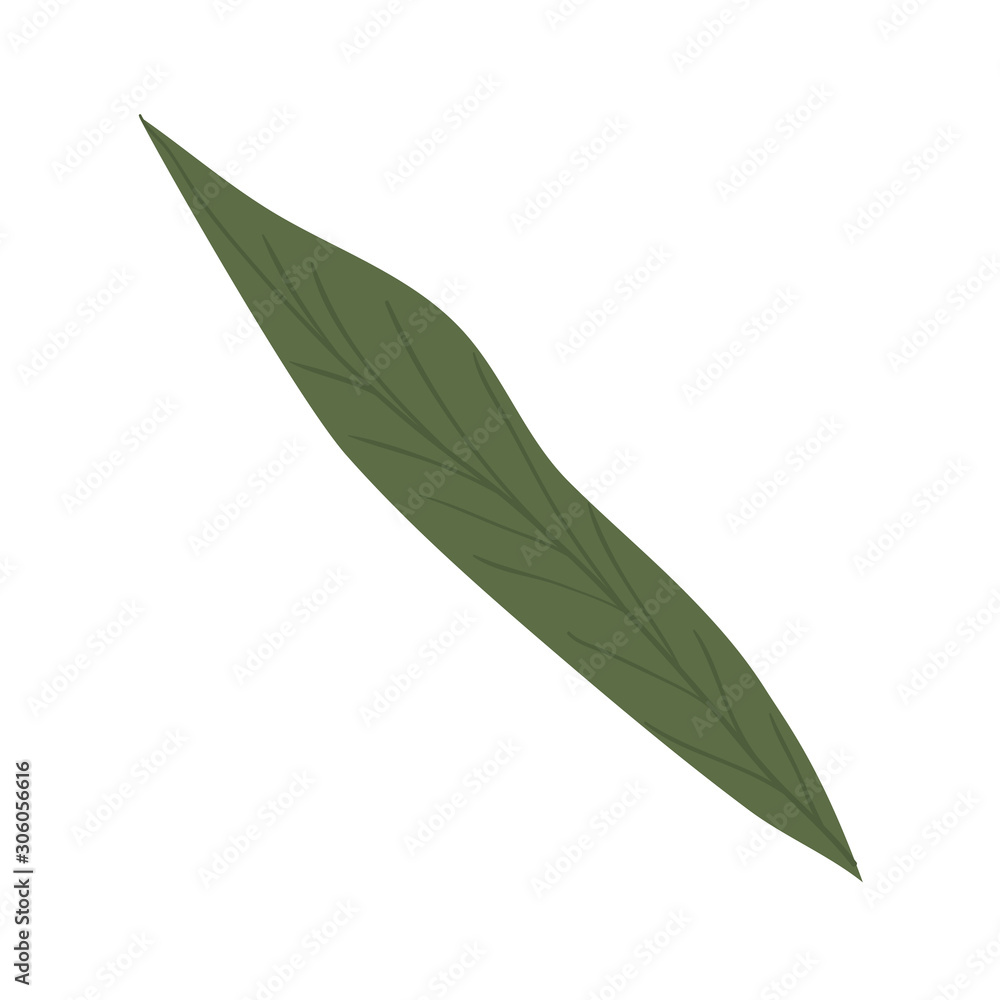 Isolated leaf icon vector design Isolated leaf icon vector design