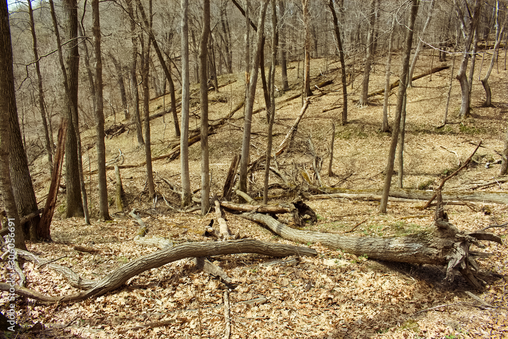 Effigy Mounds Iowa Effigy Mounds Iowa