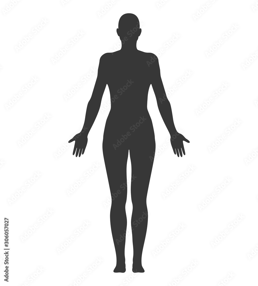 Anatomical Position Anterior View Female Body Silhouette Vector Illustration. Anatomical Position Anterior View Female Body Silhouette Vector Illustration.