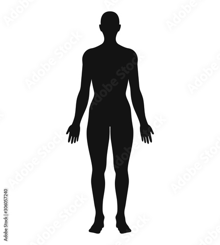 Anatomical Position Anterior View Female Body Silhouette Vector Illustration.