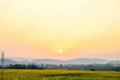 landscape nature view with ...