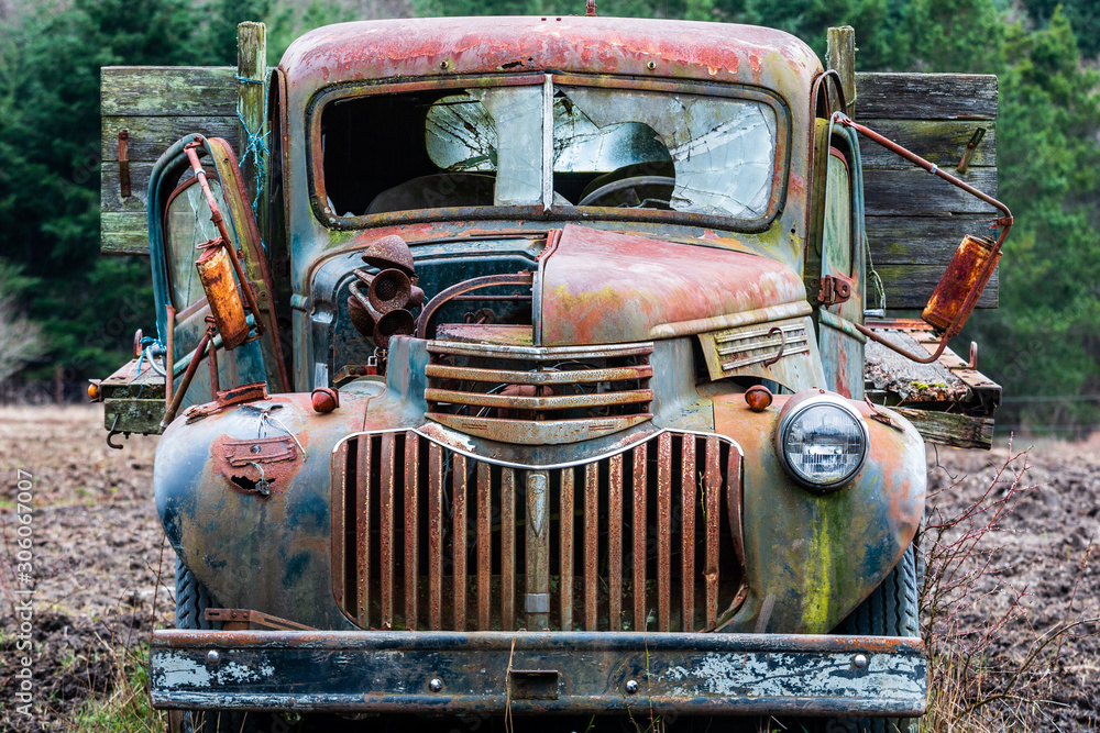 Old Truck in Field - Color