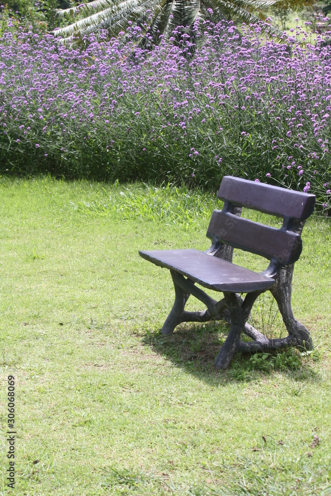 Chairs in the garden , Chair made of cement , Chair black color