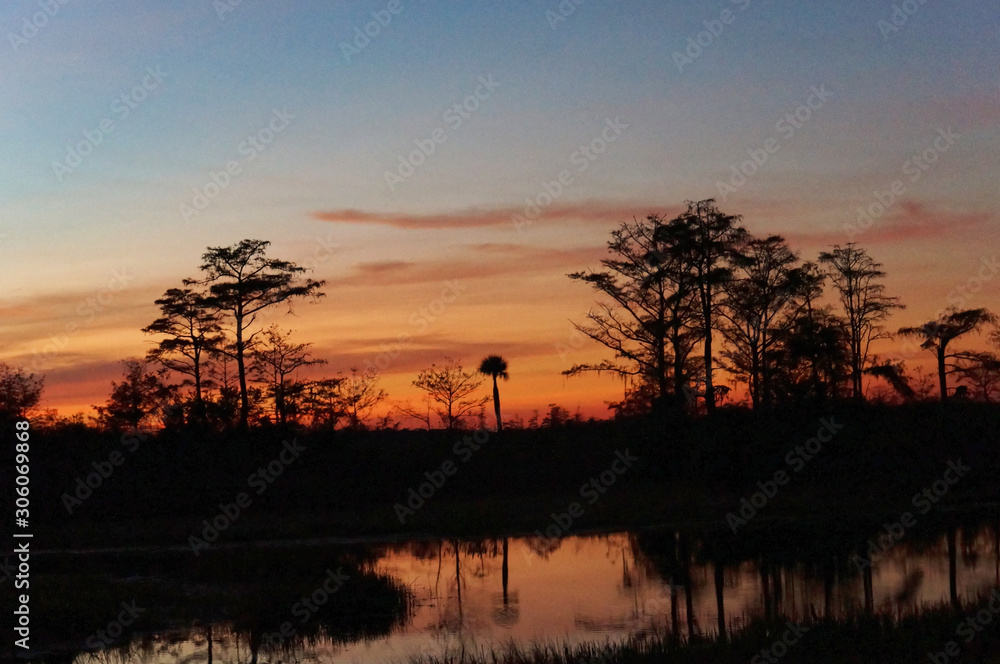 Louisiana Swamp sunset silhouette and reflections