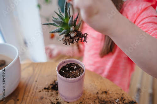 Little girl replanting a house plant in another pot