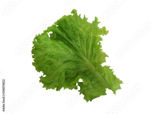 Lettuce Green vegetable