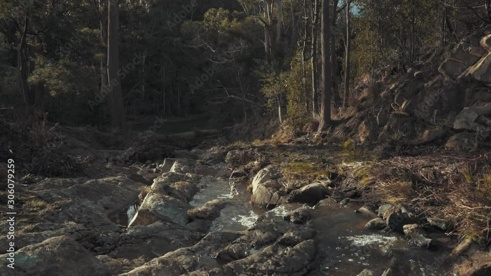 Small Brown Creek in a Forest Beautiful Slow Panning shot wide shot Small Brown Creek in a Forest Beautiful Slow Panning shot wide shot