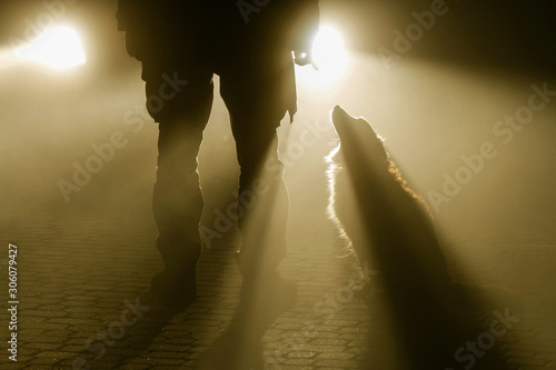 The car headlights illuminate the man and the dog standing on the cobblestone street.