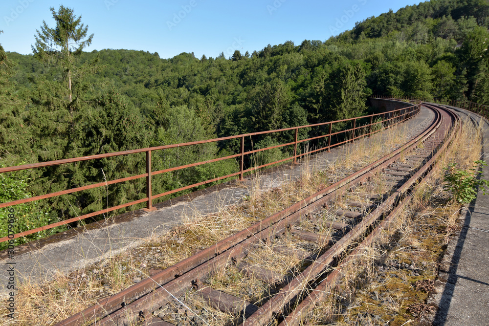 Fototapeta premium Hoxeler Viadukt