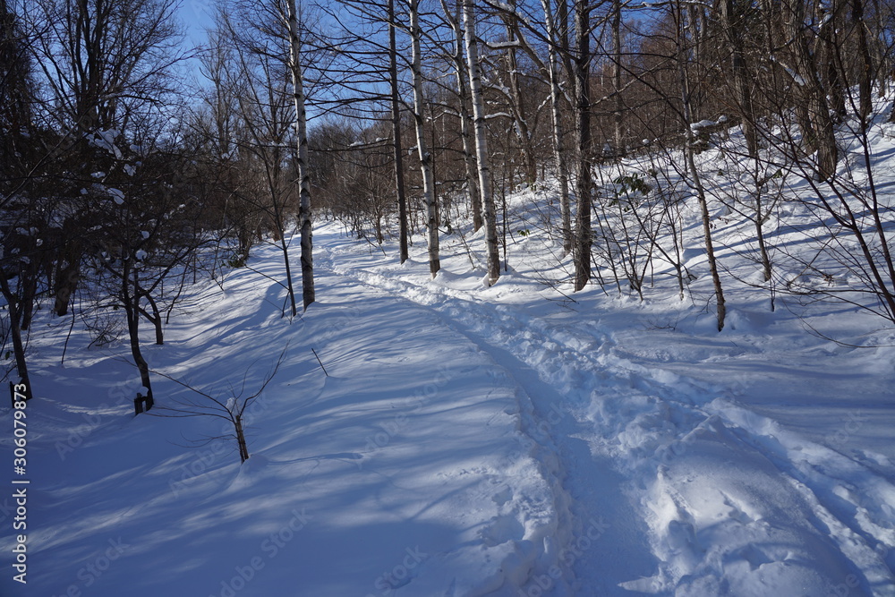 北海道　冬の公園