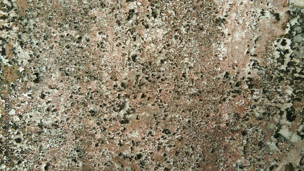 Concrete wall with green dry moss on the island Concrete wall with green dry moss on the island