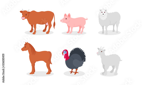 Cattle And Other Farm Animals And Birds Vector Illustration Set Isolated On White Background