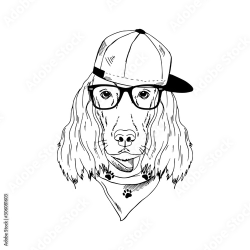 Irish Setter breed dog wear glasses, cap, bandana isolated on white background Symmetrical pet head. Realistic hand drawn vector illustration.