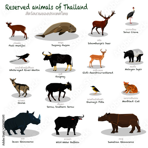 Reserved animals of Thailand