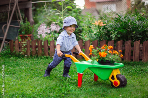 Little gardener, child plant flower in garden