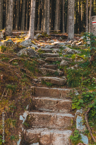 view of old stone stairs leading to forest