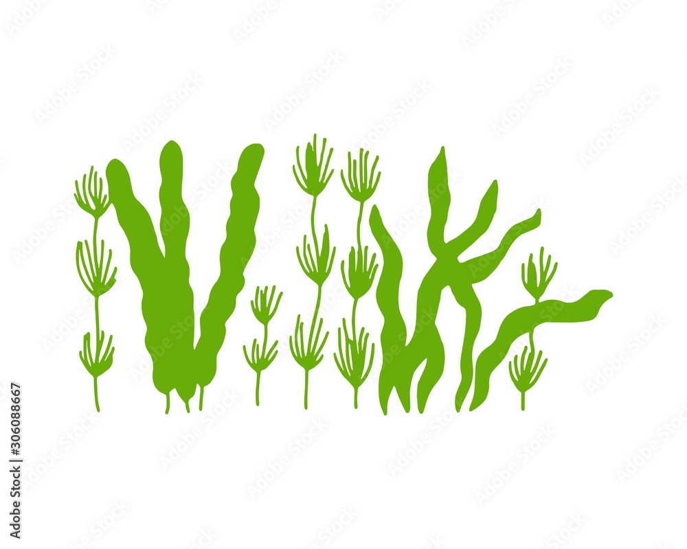 algae green food vitamins and minerals. sketch silhouette algae green food vitamins and minerals. sketch silhouette