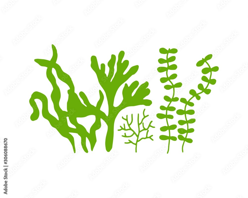 algae green food vitamins and minerals. sketch silhouette algae green food vitamins and minerals. sketch silhouette