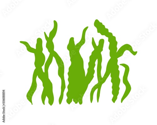 algae green food vitamins and minerals. sketch silhouette