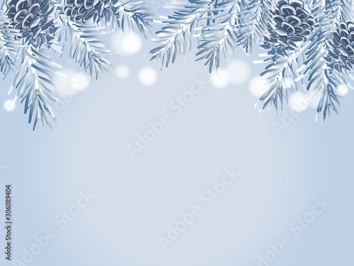 Blue Christmas tree branches and pine cones on white background.