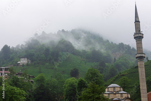 A village in the Black Sea, forest and mosque under fogs, Turkey