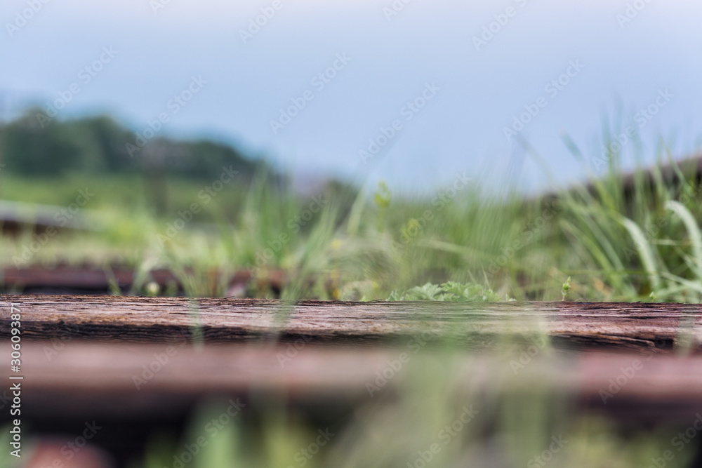 Rail. Nature in Tekeli. Spring. Kazakhstan. Rail. Nature in Tekeli. Spring. Kazakhstan.