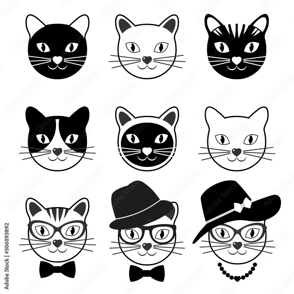set of cats set of cats