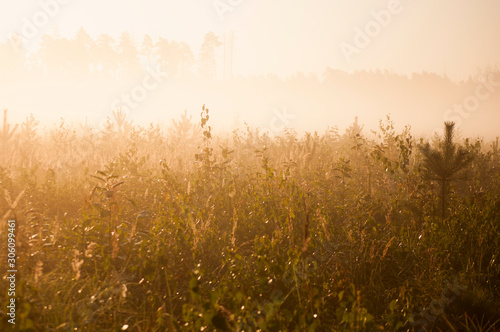 sunrise over the autumn field © Анастасия Огнева