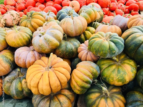 pumpkins for sale at farmers market © Adkan